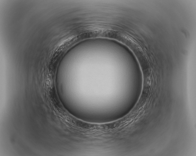 X0000113540869200909181154