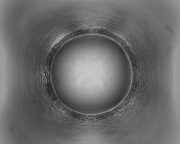 X0000113540871200909181154