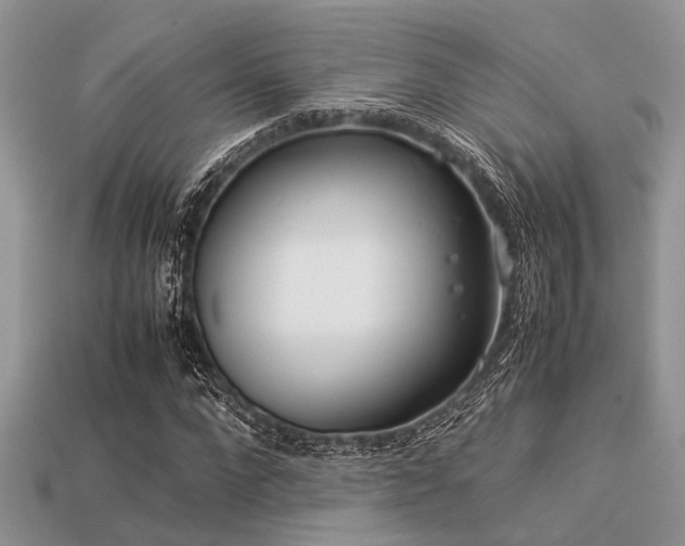 X0000113540872200909181154