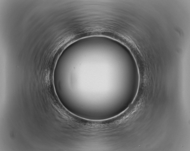 X0000113540873200909181154