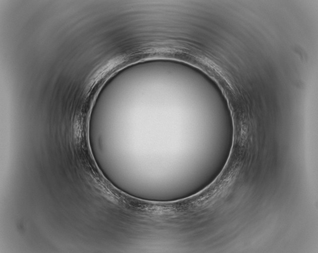 X0000113540874200909181154