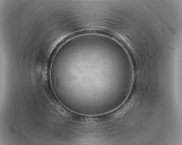 X0000113540875200909181154