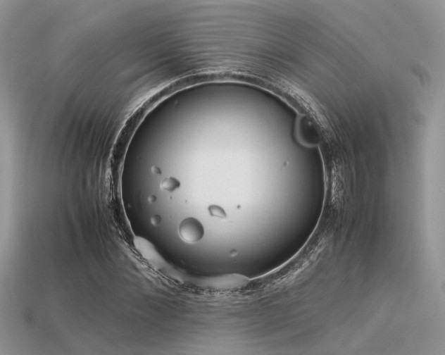 X0000113540876200909181154