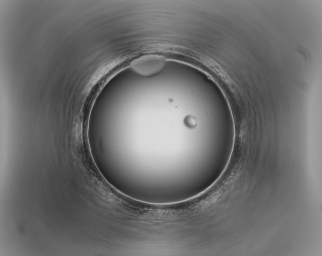 X0000113540877200909181154
