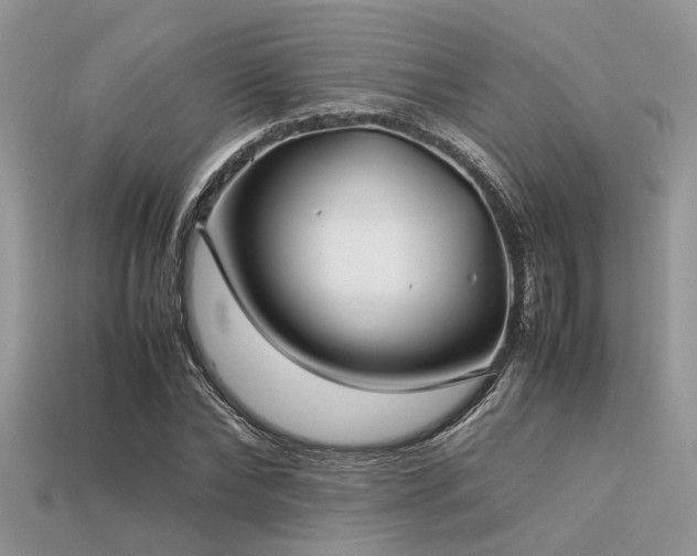 X0000113540878200909181154