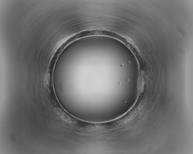 X0000113540879200909181154