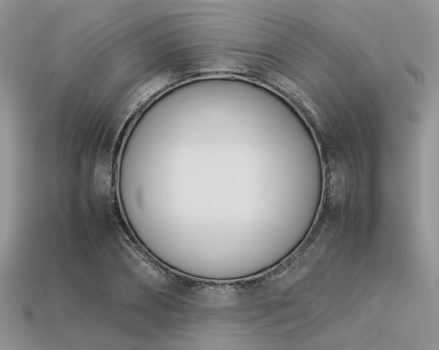 X0000113540882200909181154