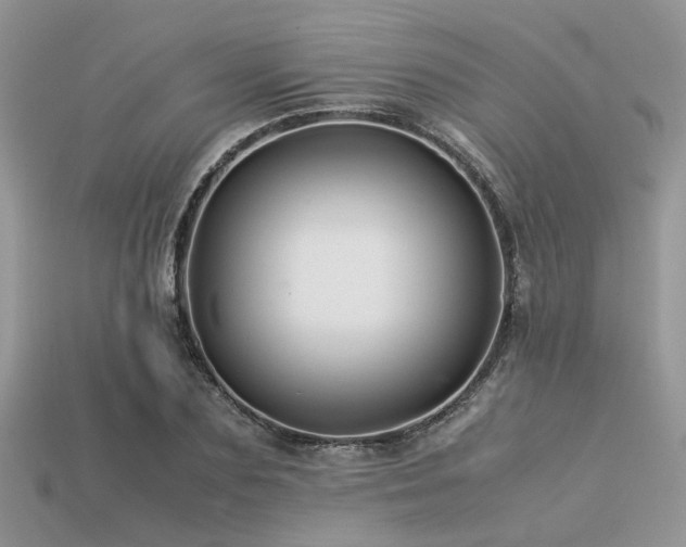 X0000113540883200909181154