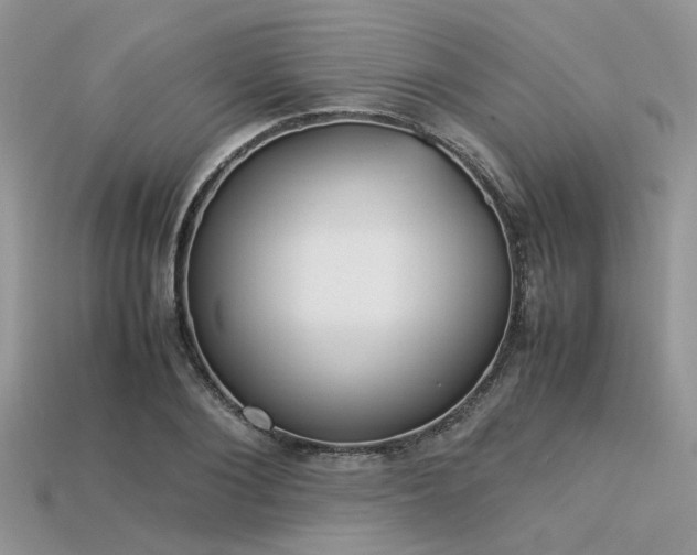 X0000113540884200909181154