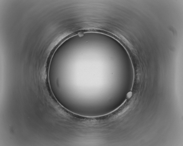 X0000113540885200909181154