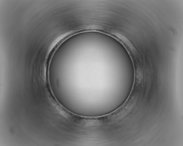 X0000113540886200909181154