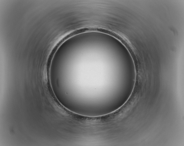 X0000113540887200909181154