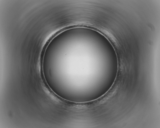 X0000113540888200909181154