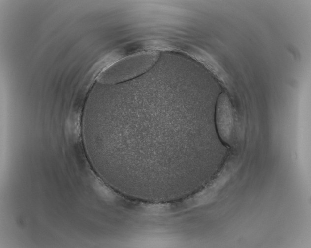 X0000113540889200909181154