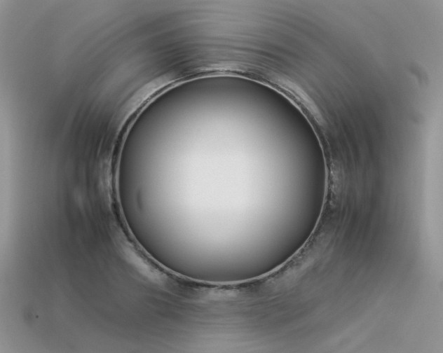 X0000113540890200909181154
