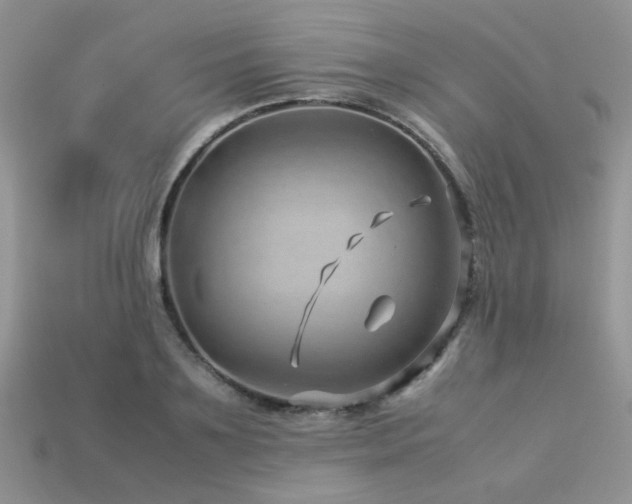 X0000113540891200909181154