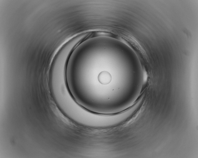 X0000113540892200909181154