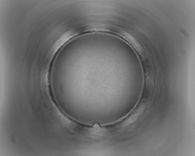 X0000113540893200909181154