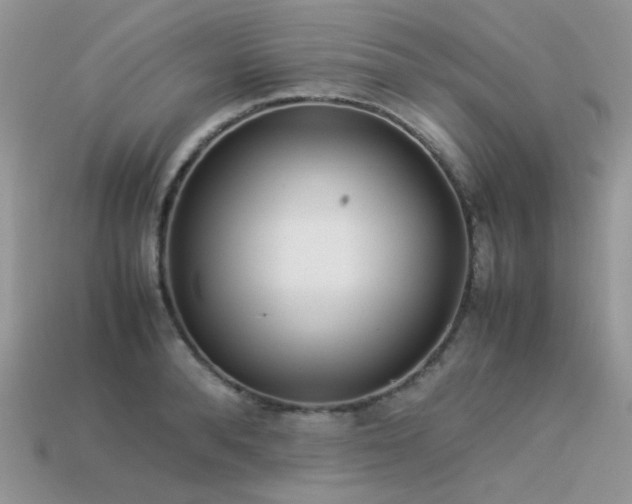 X0000113540896200909181154