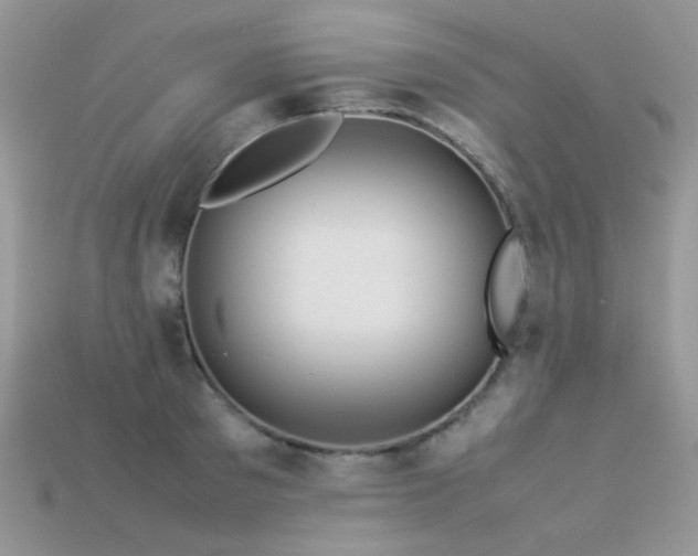 X0000113540897200909181154