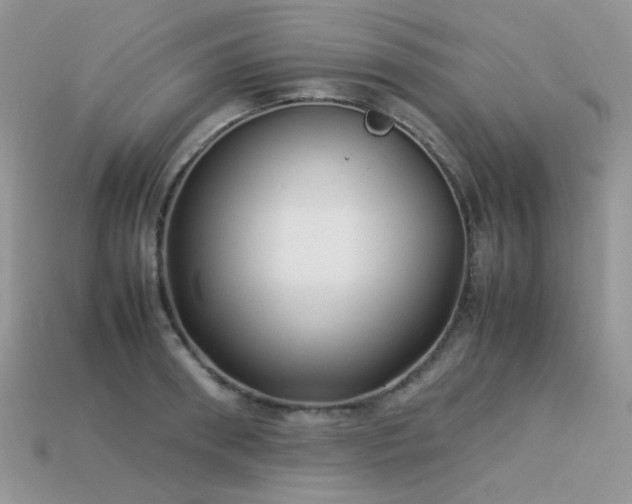 X0000113540898200909181154
