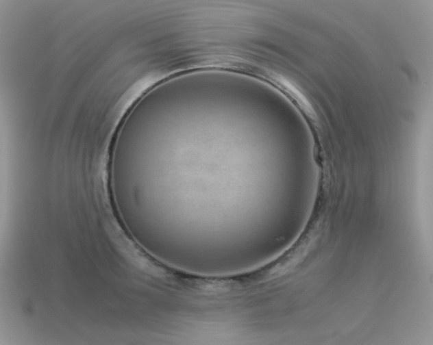 X0000113540899200909181154