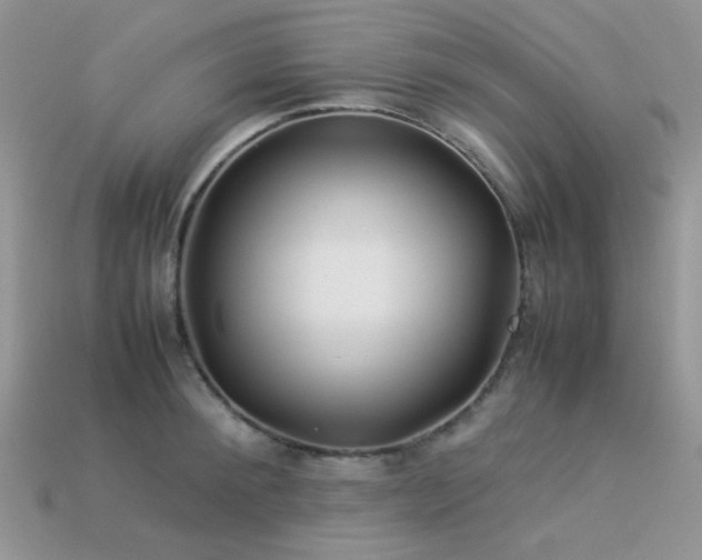 X0000113540900200909181154