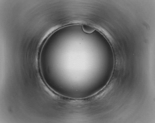 X0000113540902200909181154