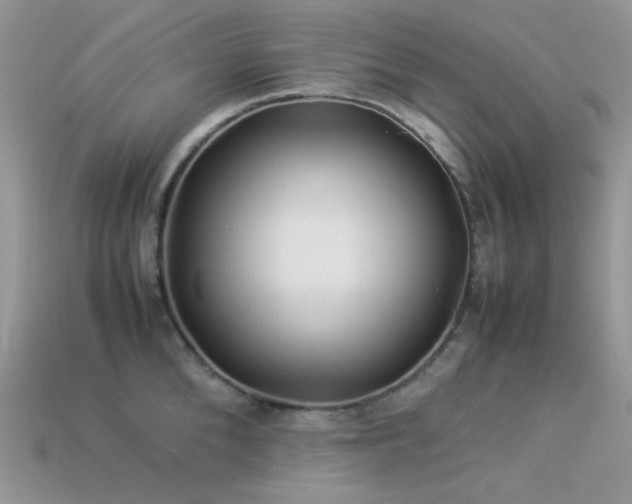X0000113540904200909181154