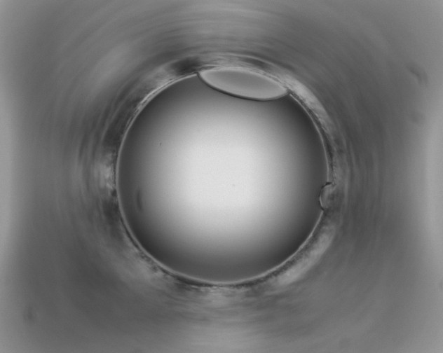 X0000113540905200909181154