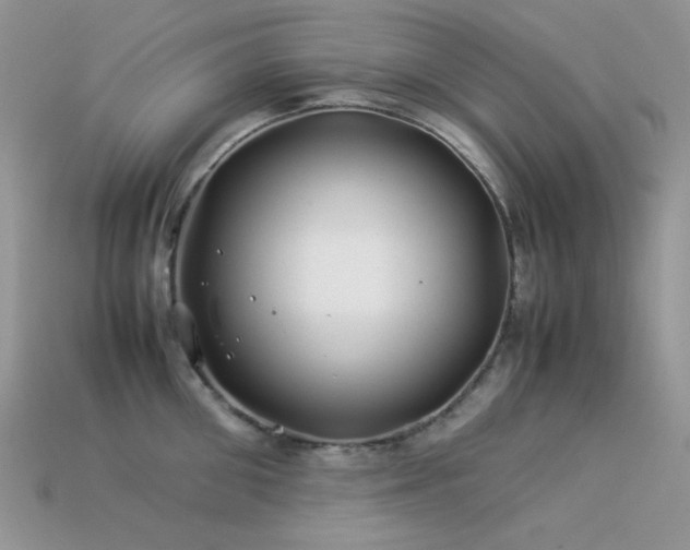 X0000113540906200909181154