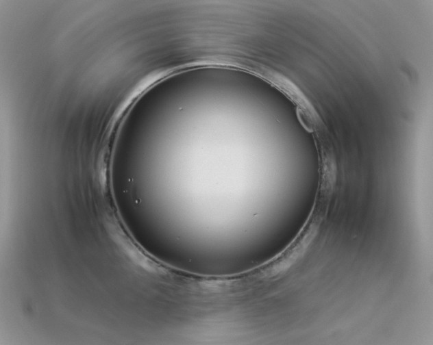 X0000113540908200909181154