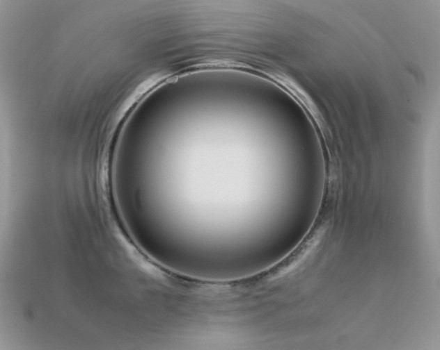 X0000113540909200909181154
