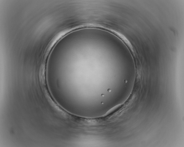 X0000113540911200909181154
