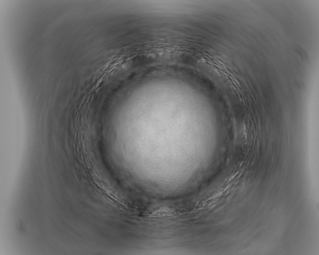 X0000113540913200909181153