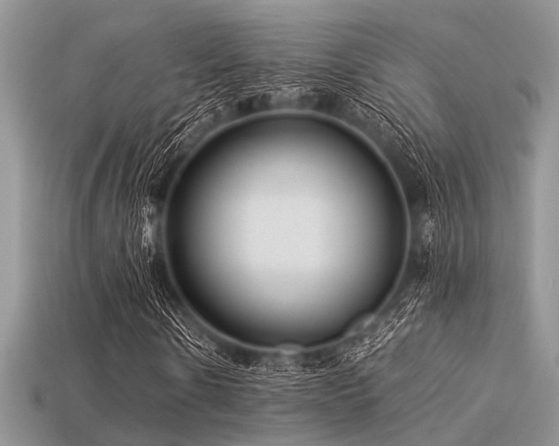 X0000113540914200909181153