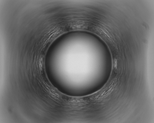 X0000113540915200909181153