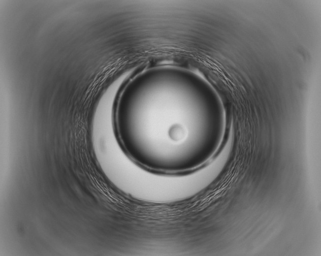 X0000113540916200909181153