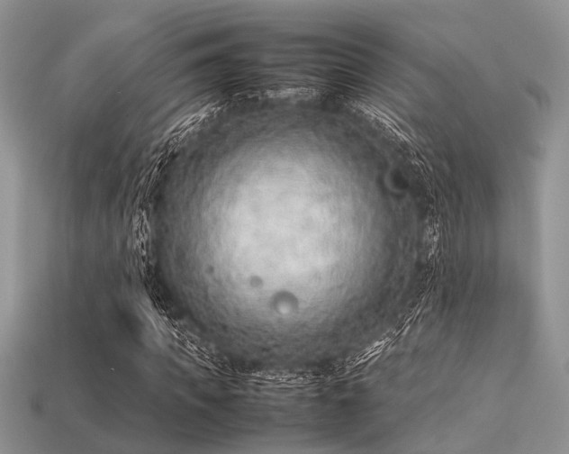 X0000113540917200909181153