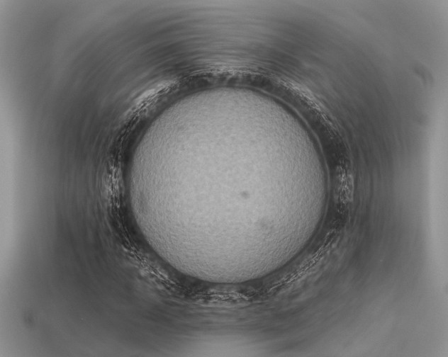 X0000113540918200909181153