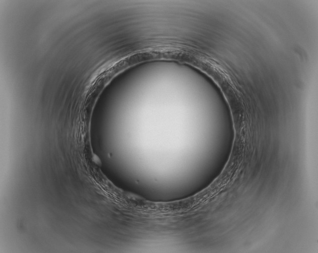X0000113540920200909181153