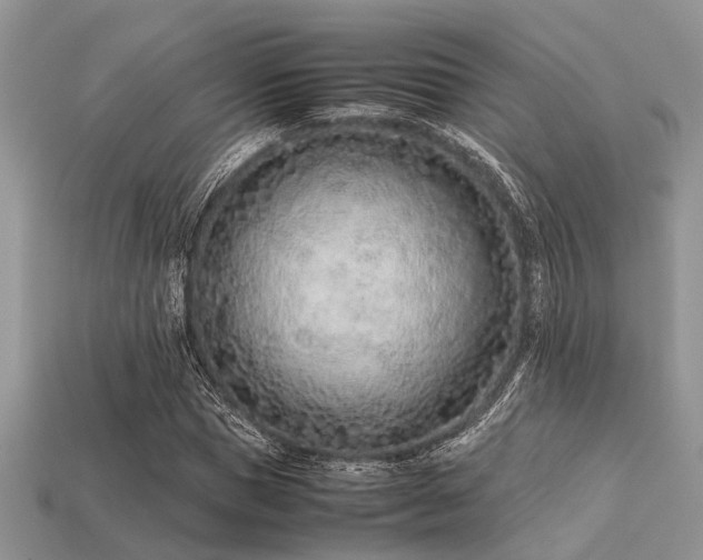 X0000113540921200909181153