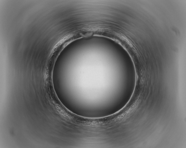 X0000113540922200909181153