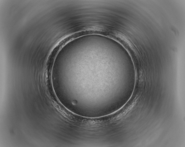 X0000113540923200909181153