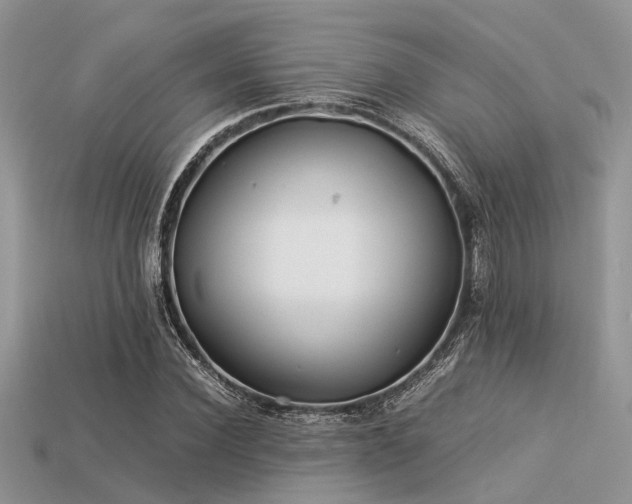 X0000113540924200909181153