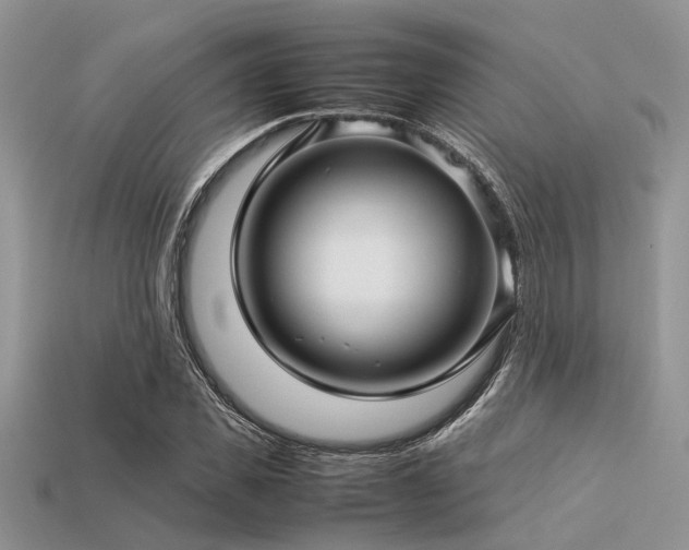 X0000113540925200909181153