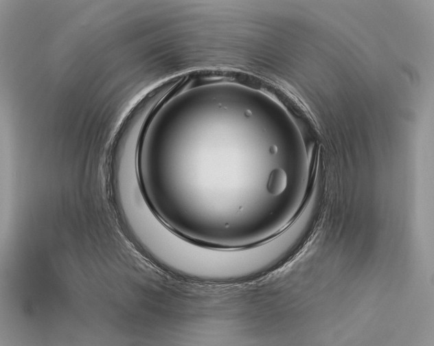 X0000113540926200909181153