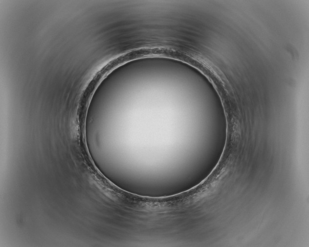 X0000113540927200909181153
