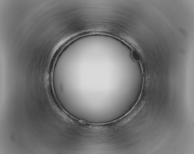X0000113540928200909181153