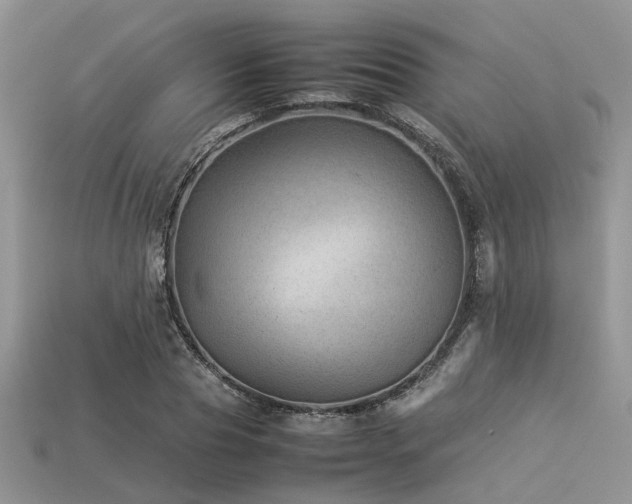 X0000113540929200909181153